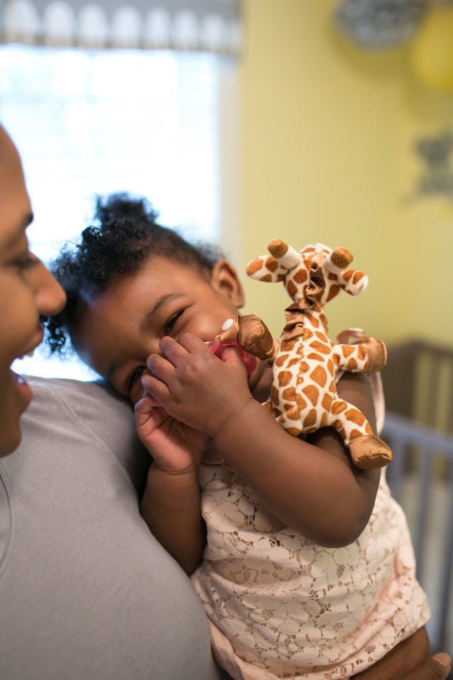 Dr. Brown's Giraffe Lovey with Two One-Piece Silicone Pacifiers Other - Premium Dr. Brown's Pacifier from Dr. Brown's - Just $13.99! Shop now at Kis'like