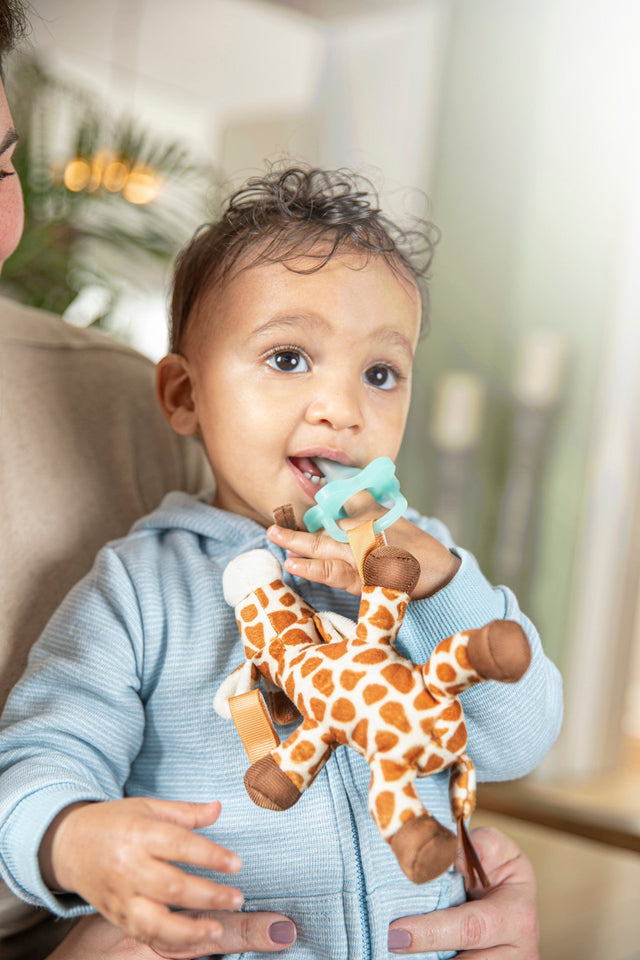 Dr. Brown's Giraffe Lovey with Two One-Piece Silicone Pacifiers Other - Premium Dr. Brown's Pacifier from Dr. Brown's - Just $13.99! Shop now at Kis'like