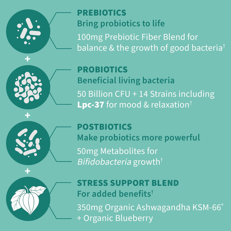 Garden of Life Dr Formulated Calm Daily 3-in-1 Complete Probiotics, Prebiotics & Postbiotics with Ashwagandha - PRE + PRO + POSTBIOTIC Supplement for Immune, Digestive & Mood Support - 30 Day Supply - Premium Blended Vitamin & Mineral Supplements from Garden of Life - Just $34.89! Shop now at Kis'like