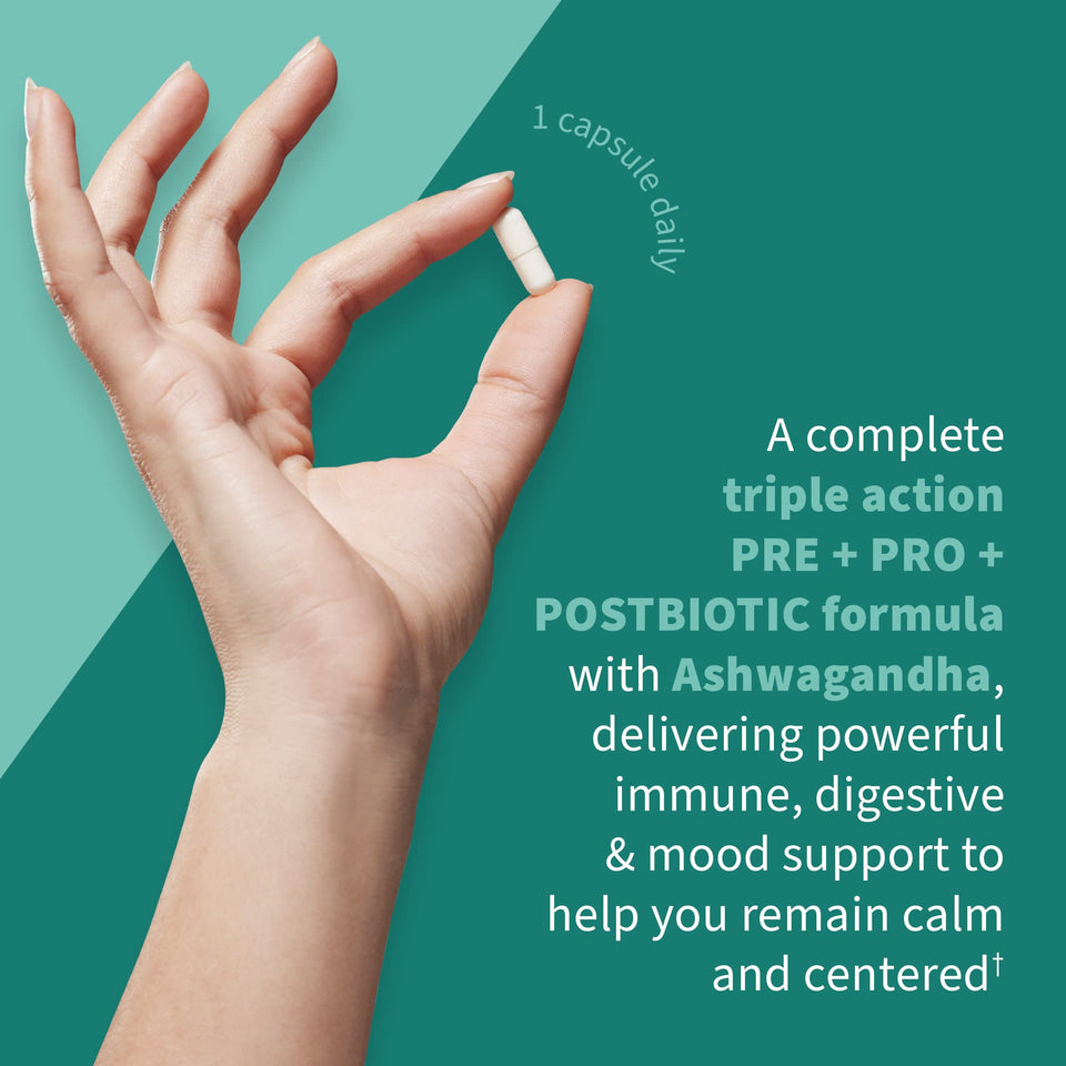 Garden of Life Dr Formulated Calm Daily 3-in-1 Complete Probiotics, Prebiotics & Postbiotics with Ashwagandha - PRE + PRO + POSTBIOTIC Supplement for Immune, Digestive & Mood Support - 30 Day Supply - Premium Blended Vitamin & Mineral Supplements from Garden of Life - Just $48.89! Shop now at KisLike