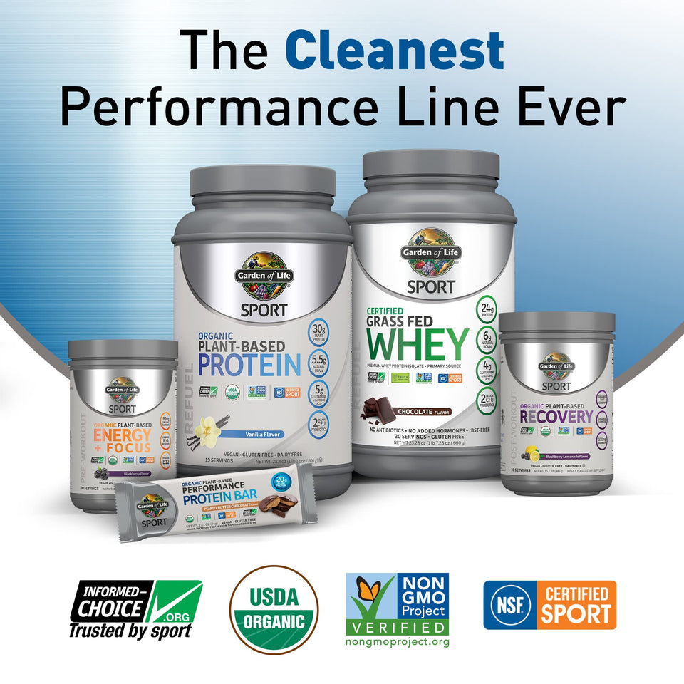 Garden of Life Sport Organic Plant Based Energy + Focus Clean Pre Workout Powder, with 85mg Caffeine, Natural No Booster, B12, Vegan, Gluten Free, Non-GMO, Blackberry, 15.3 Oz 30 Servings (Pack of 1) - Premium Supplements from Garden of Life - Just $34.89! Shop now at Kis'like