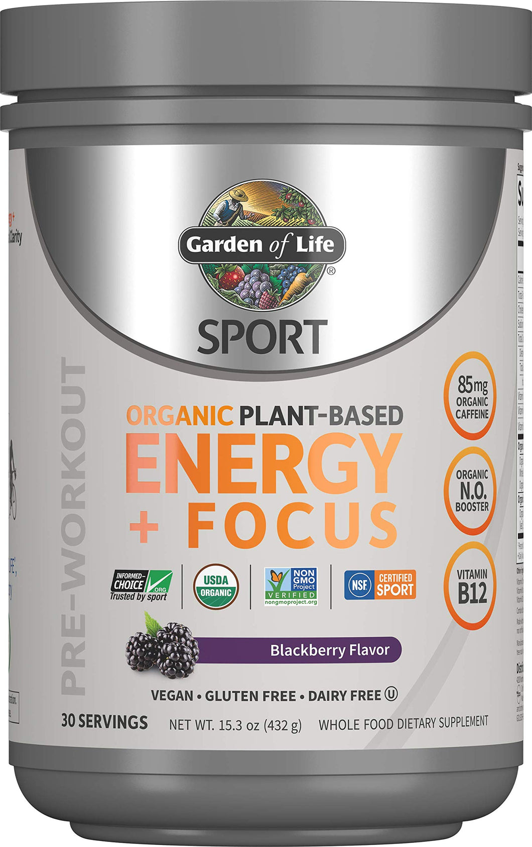 Garden of Life Sport Organic Plant Based Energy + Focus Clean Pre Workout Powder, with 85mg Caffeine, Natural No Booster, B12, Vegan, Gluten Free, Non-GMO, Blackberry, 15.3 Oz 30 Servings (Pack of 1) - Premium Supplements from Garden of Life - Just $34.89! Shop now at Kis'like