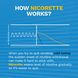 Nicorette Nicotine Gum to Stop Smoking, Original Unflavored, 2 Mg, 170 Count Multicolor - Premium Original Nicotine Gum from Nicorette - Just $73.99! Shop now at Kis'like