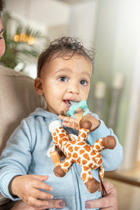Dr. Brown's Giraffe Lovey with Two One-Piece Silicone Pacifiers Other - Premium Dr. Brown's Pacifier from Dr. Brown's - Just $13.99! Shop now at Kis'like